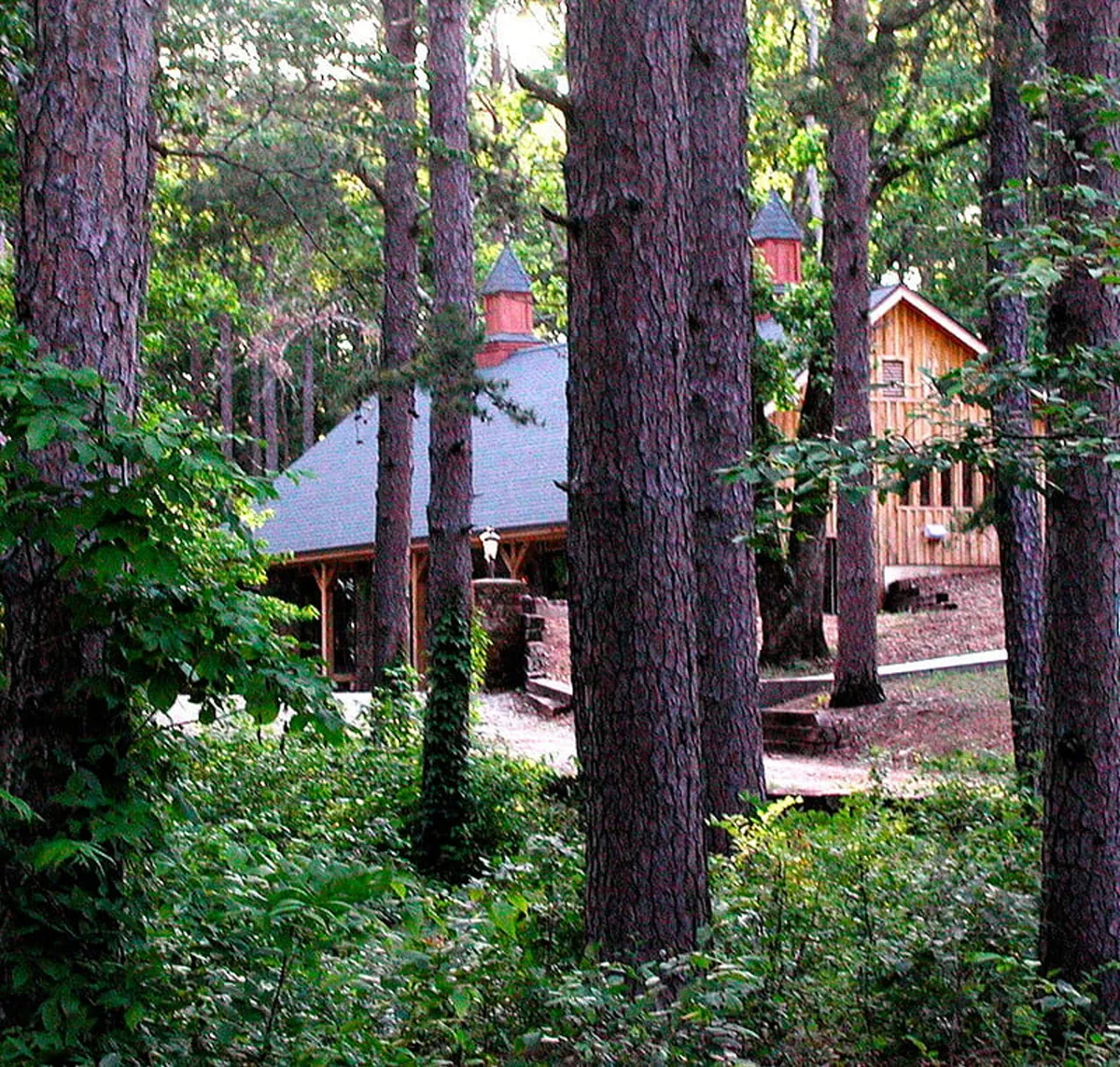 A wooden cabin sits serenely among tall pine trees, with a winding pathway leading through the forest. The surrounding landscape is lush, with hints of sunset light filtering through the trees, evoking a tranquil, nature-focused atmosphere ideal for wandering and exploration. There are indications of outdoor gathering spaces, perfect for activities like nature walks, wildlife spotting, and stargazing.